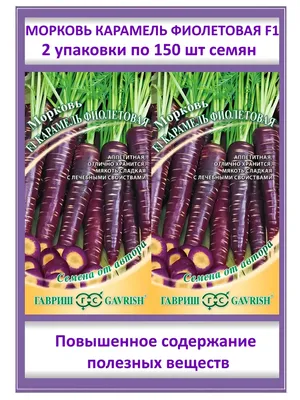 Морковь For Home And Family Фиолетовая королева F1 - купить по выгодным  ценам в интернет-магазине OZON (1091772296)