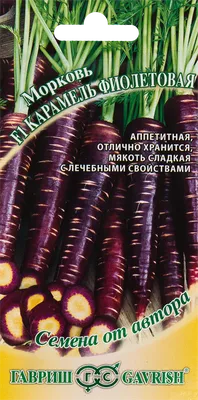 Фиолетовая Морковь — стоковые фотографии и другие картинки Морковь - Морковь,  Фиолетовый, Белый фон - iStock