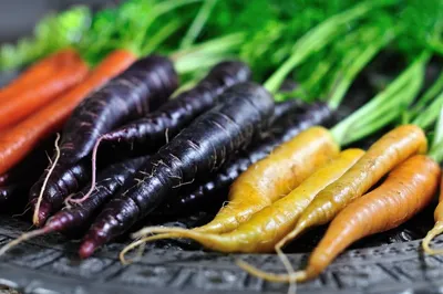 Какая морковь вкуснее – обычная или фиолетовая? Сажала и ту, и ту – делюсь  впечатлениями | Сибирский сад Оксаны Артеменко | Дзен