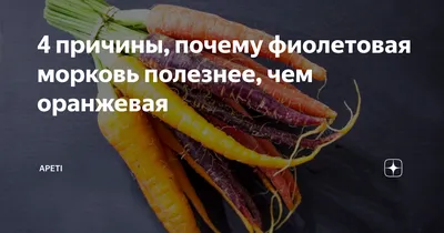 фиолетовая морковь | blog.premier.ua