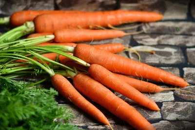 А знали ли вы, что изначально морковь была фиолетового цвета? | ВКонтакте