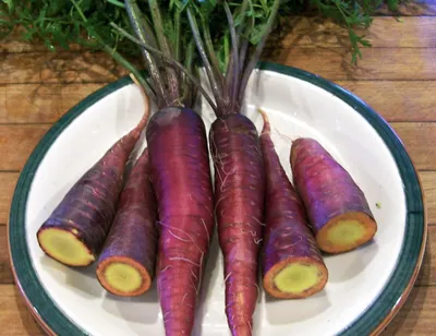 Купить фиолетовая морковь Раменское оптом и в розницу по низкой цене
