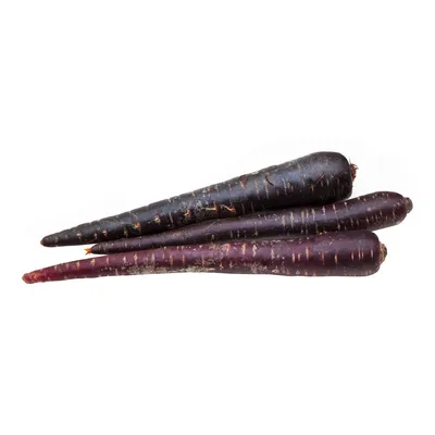 Фиолетовая морковь — надо садить! Богатый источник антоцианов