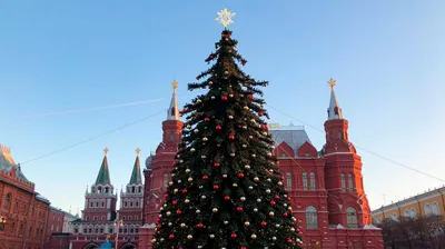 На Манежной площади в Москве поставили 12-метровую новогоднюю елку