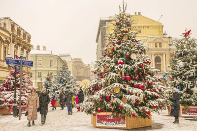 Где искать самые необычные и красивые новогодние елки в Москве |  Дегустаторы путешествий: Юля и Марк | Дзен
