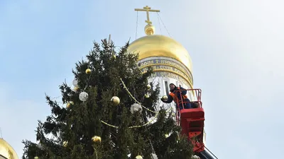 Главная елка страны 2023-2024: где будет стоять в Москве, чем украсят и как  добраться