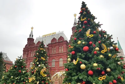 Самые красивые елки Москвы 2017-2018 - KP.RU