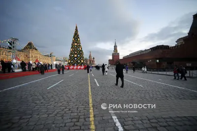 Как украшены главные елки в Москве и Минске - Союзное Вече