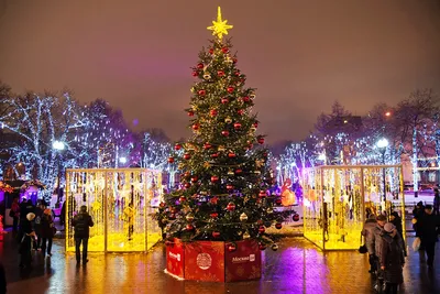 Датская елка с доставкой в Москве