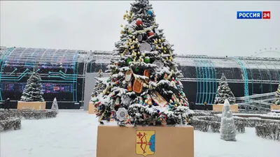 Рождественские елки в Москве защитят от вандалов - Мослента
