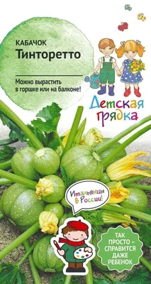 Кабачки: выращивание и уход в открытом грунте, формирование куста и  подкормка | ivd.ru