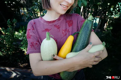 Полимерные овощи и фрукты on Instagram: “Наконец пришло время кабачков!  Всегда жду молодые кабачки с грядки! Обожаю все блюда из них. Жа… | Doll  food, Veggies, Food