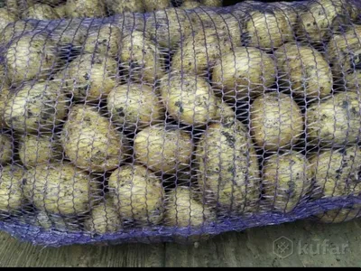 Где можно купить сетки под картофель по выгодной цене | Русская Агросетка