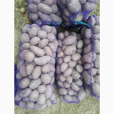 Продам картофель в сетках оптом, Киев — Agro-Ukraine