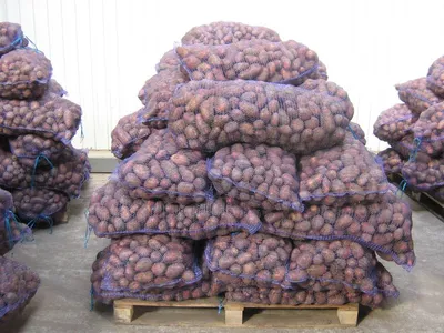 Картофель ЧЕРКЕСК-Бургустанская. 30₽ Самая вкусная картошка. Сетки по 43  кг. 1300₽ ДОСТАВКА БЕСПЛАТНО. Звоните для заказа. 8919-428-69-68 | Instagram