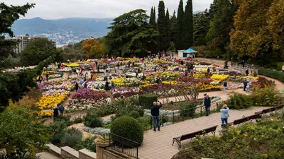 Никитский ботанический сад 🧭 цена экскурсии 1000 руб., 5 отзывов,  расписание экскурсий в Алуште