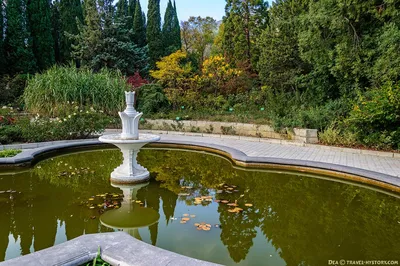 Никитский ботанический сад — подробное описание, адрес и фото