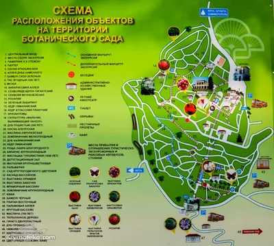 Никитский ботанический сад в Ялте (Крым): описание, как добраться