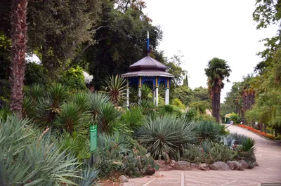 Никитский ботанический сад. Ялта. Крым
