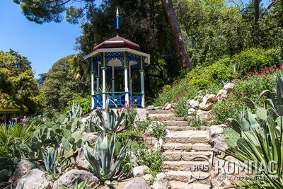 Никитский ботанический сад в Крыму | Туристический справочник
