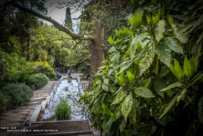 Никитский ботанический сад в Крыму Ялта
