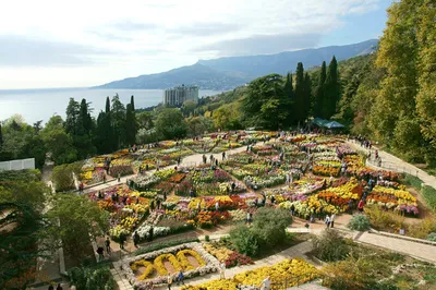 Никитский ботанический сад, Ялта