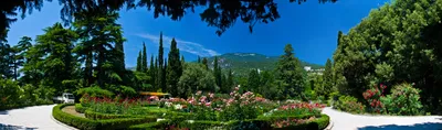 История Никитского ботанического сада — путеводитель по отдыху в Крыму