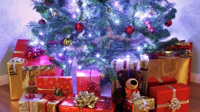 Сколько считается нормальным потратить на новогодние подарки в этом году |  K1NEWS Кострома