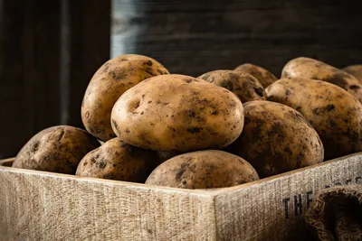 Молодая картошка с чесноком и розмарином — идеальный летний гарнир