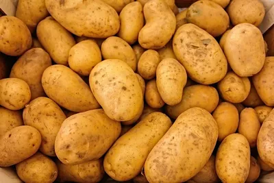 В Беларуси появился памятник корзине картошки