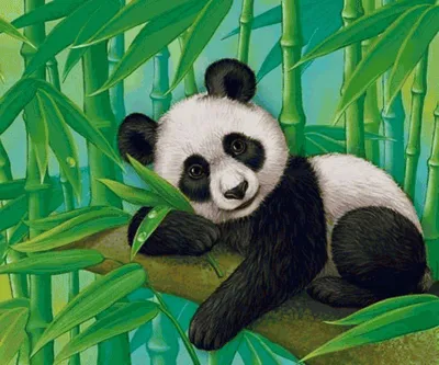 Панда с бамбуком стоковое фото. изображение насчитывающей бамбук - 151632212