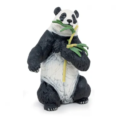 Милая панда с бамбуком на твердом черном фоне | Премиум Фото