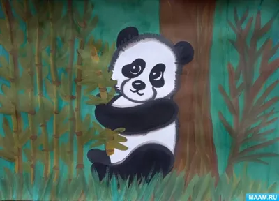 Панды могут съесть более 10 кг бамбука в день | Факты обо всем | Дзен