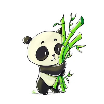 Ест ли панда бамбук, а может быть она ест что-то кроме бамбука? - Животное  панда: энциклопедия, все про панду!