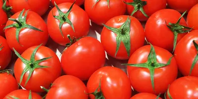 Купить помидоры в Одессе ✔️ OtValentiny