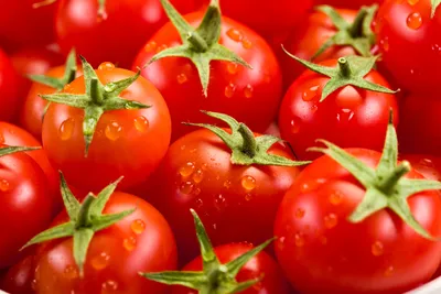 два свежих красных помидора и полтомата на белом фоне Стоковое Изображение  - изображение насчитывающей вегетарианец, здорово: 218410455