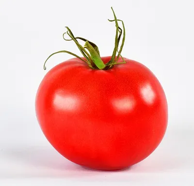 Картинка помидора - 60 фото