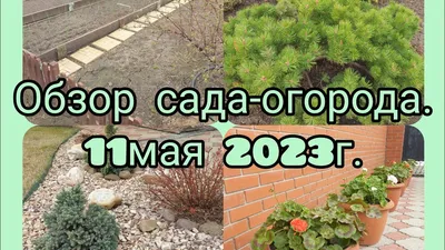 1000 и одна новая идея для сада и огорода - купить с доставкой по выгодным  ценам в интернет-магазине OZON (803340431)