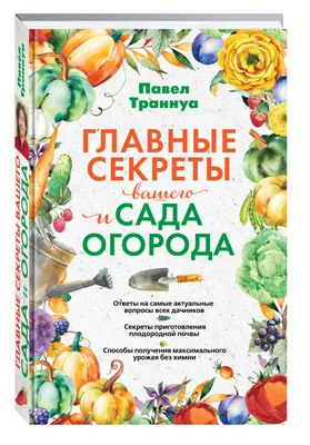 POPAI: оформление категории «Сад и огород» в магазинах разных форматов |  Retail.ru