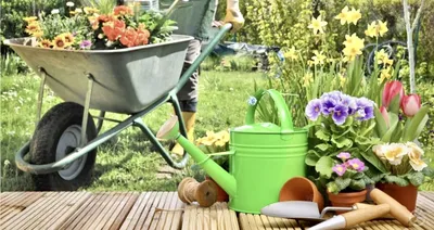📈✨ИДЕИ ДЛЯ САДА,ОГОРОДА И ДАЧИ on Instagram: “Растения в вазонах на  террасе. Друзья, как Вам такая красота?Нравится? Оцените … | Small garden,  Planter pots, Garden