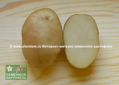 Требования к качеству семенного картофеля