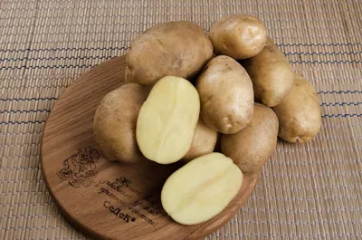 Какой картофель годится на семена — Михайловский информационный центр