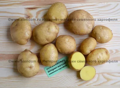 Семенной картофель Императрица (2кг, Элита) - интернет-магазин СеДеК