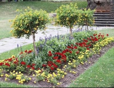 Цветники: 8 вариантов для создания волшебства в вашем саду | Уютный дом в  цветущем саду | Дзен