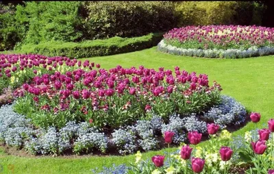 Цветники: 8 вариантов для создания волшебства в вашем саду | Уютный дом в  цветущем саду | Дзен
