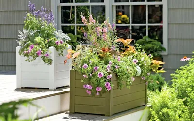 Клумба перед домом и в саду: оригинальные способы оформления цветников |  ZAGGO.RU | Дзен