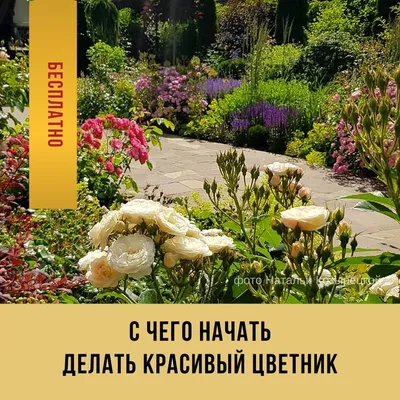 Как правильно выбрать место для цветника в саду | Цветник, Современный сад,  Идеи озеленения
