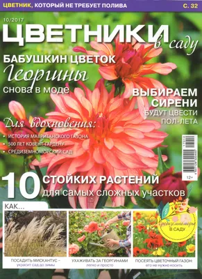 Журналы, газеты: Цветники в саду. 10' 2017 - купить в интернет-магазине  «Москва» с доставкой - 898376