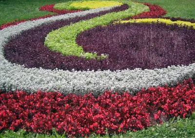 Цветник, который заметен из далека ❤ Красивые цветники в саду являются  прекрасным дополнением любого сада. Они должны выполнять… | Instagram