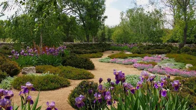 Декоративная: цветник с цветами на пне в саду, конец вверх Стоковое Фото -  изображение насчитывающей цвет, флора: 200061188